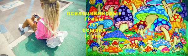 сатива Киренск
