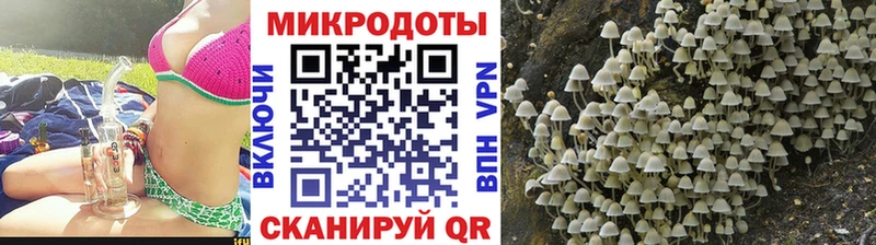 Купить где  Волгореченск  Галлюциногенные грибы Magic Shrooms 