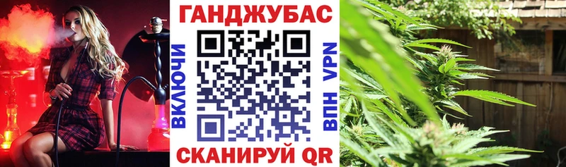 Конопля семена  Купить где  Волгореченск 